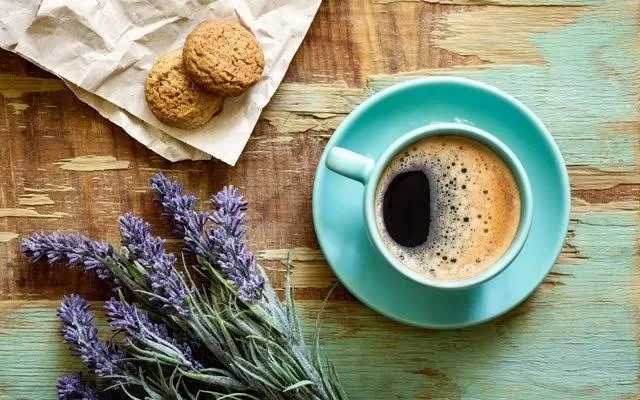 Sütlü Wescafe
